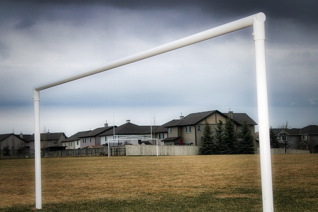 既可能是双 既可能是双