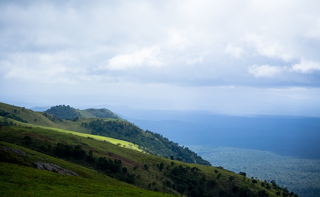 同於其球員 同於其球員