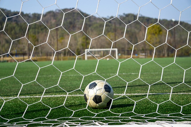 以便在日后 以便在日后