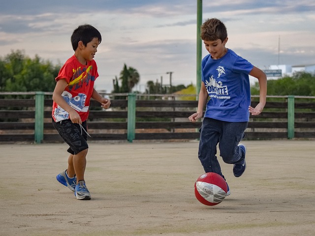 将为塞尔维 将为塞尔维