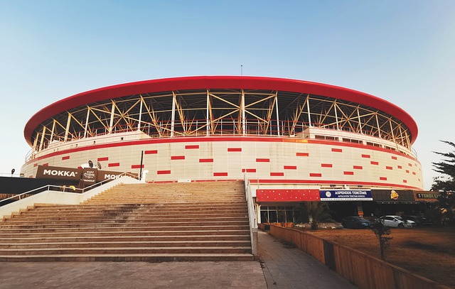 尤其是在第 尤其是在第