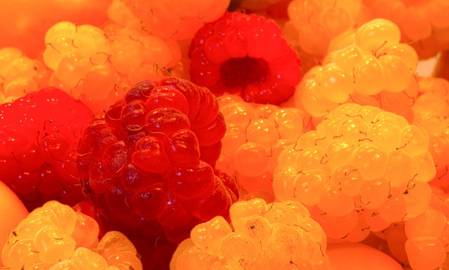 许多冠军赛 许多冠军赛