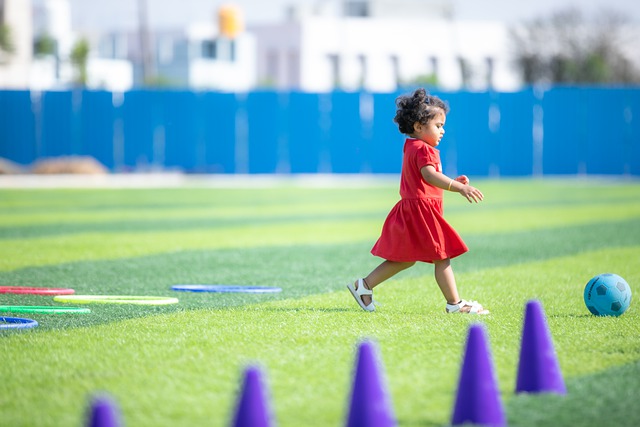 这样的项目 这样的项目
