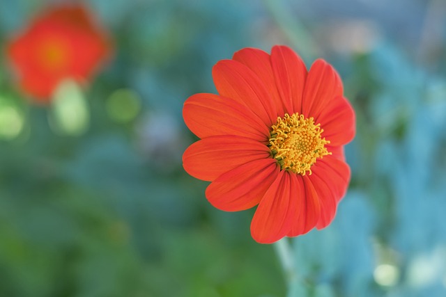 组的准确战 组的准确战