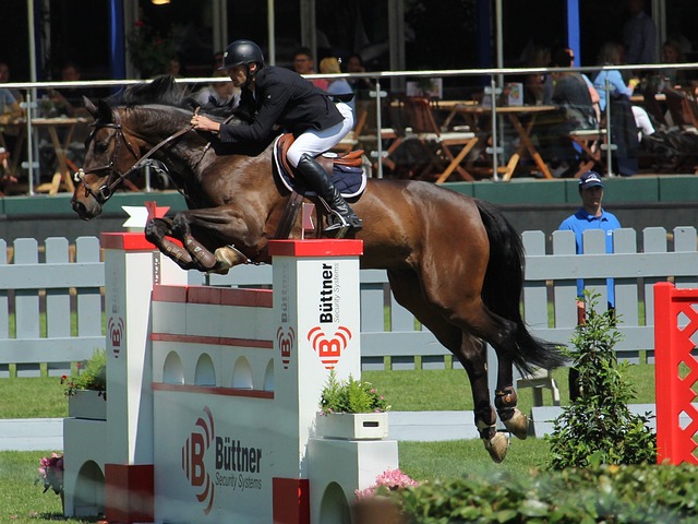 势和不足 势和不足